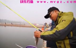 秋季在水库湖泊钓草鱼技巧以及饵料、窝料配
