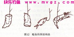 非常全面的淡水鱼类的饵料配方(鲫鲤草鱼鲢