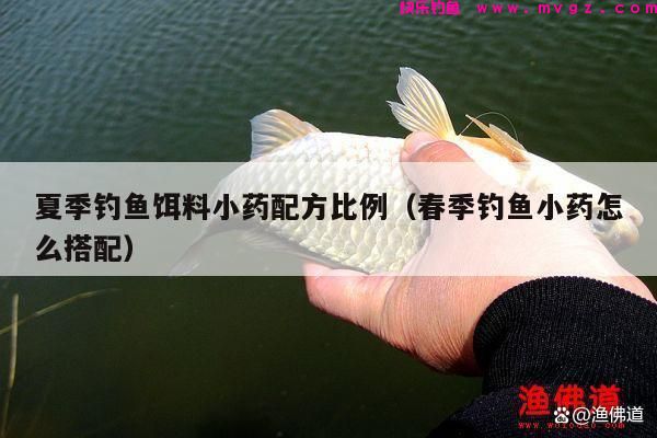 夏季钓鱼饵料小药配方比例（春季钓鱼小药怎