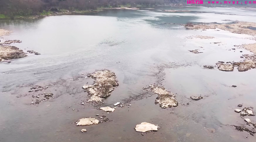 江西钓友在水库下钓鱼，遭遇大量“怪草鱼”
