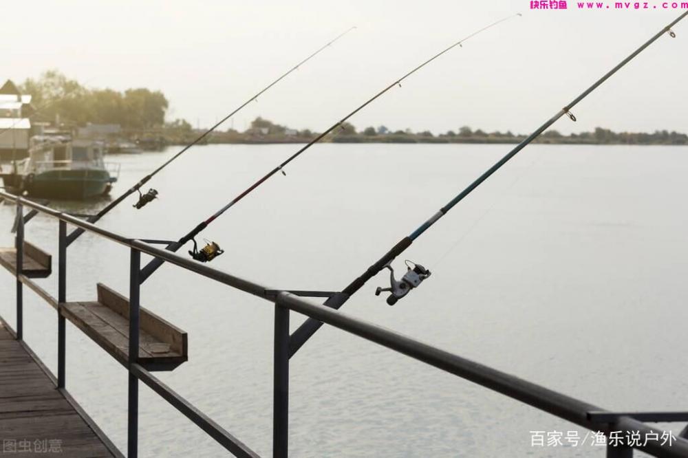 夏季钓草鱼的技巧详解钓具、钓饵、钓点、钓