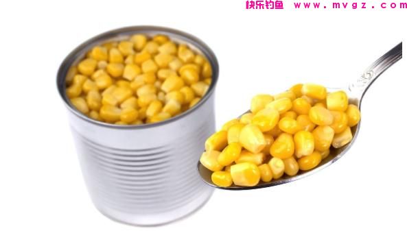 钓草鱼，究竟是用嫩玉米好还是用老玉米钓效
