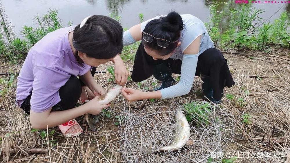 夏季是垂钓草鱼的黄金季节，那么我们该如何