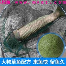 冬季不想收竿的大草鱼玩法，巨物来多少就能