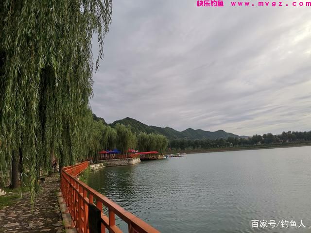 草鱼这个钓法最近火了，简单易上手，新手一