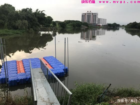 长竿短线钓草鱼——七星漂