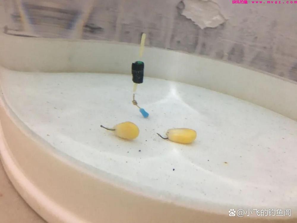 钓鲤鱼只学这2种调漂方法，不谈灵钝，能上