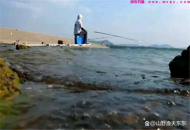 夏天垂钓鲤鱼需要注意哪些方面？学会这五个
