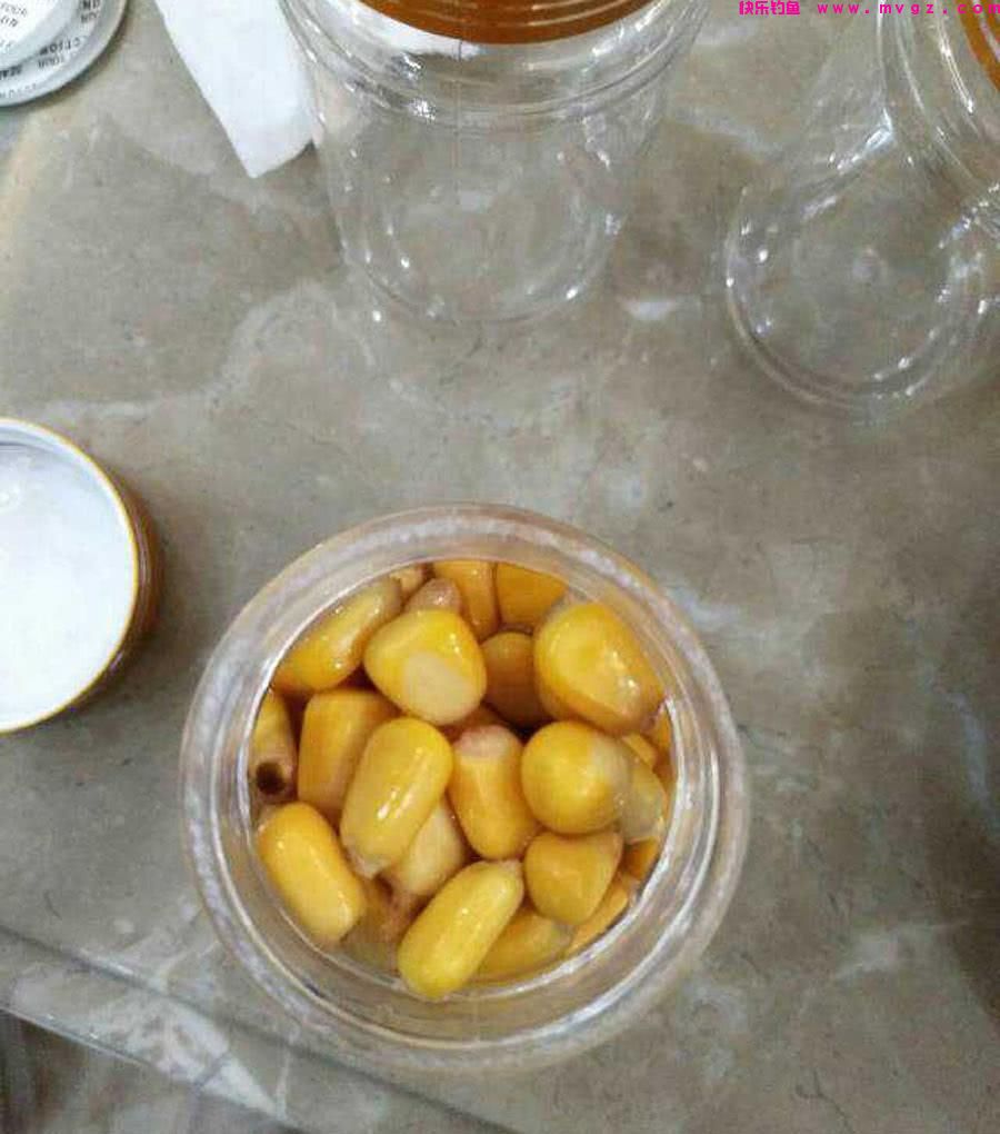 玉米钓鲤鱼有窍门，技巧全在这里，学会后鲤