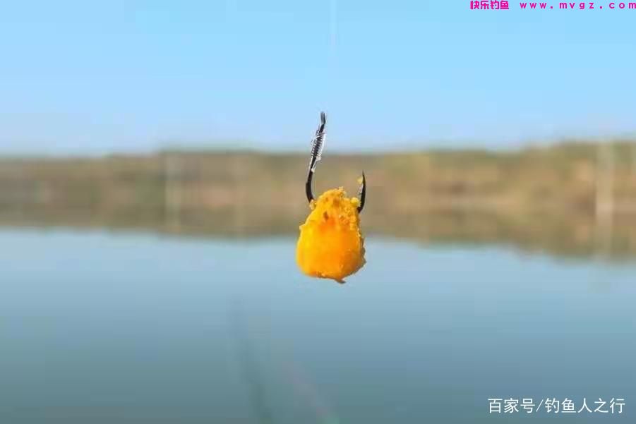 春天手竿钓鲤鱼的攻略与窍门，低密度也可以