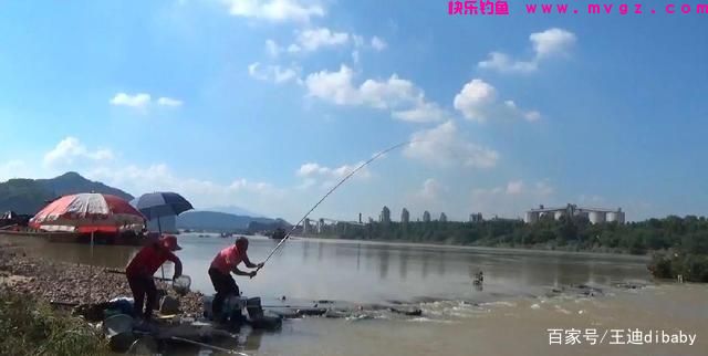 为什么这么多人喜欢钓鲤鱼？原来很棒的鱼，
