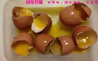 变废为宝 臭鸡蛋巧做鲢鳙一绝饵料