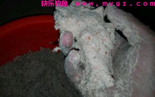 十元本钱不到且效果好的鲢鳙饵料配方