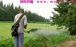 自制饼粉发酵饵料专钓鲢鱼鳙鱼有奇效