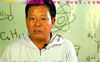 详解24种鲢鳙饵料配方大全
