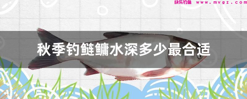 秋季钓鲢鳙水深多少最合适