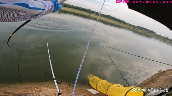 钓鲢鳙从什么时候开始找水层？