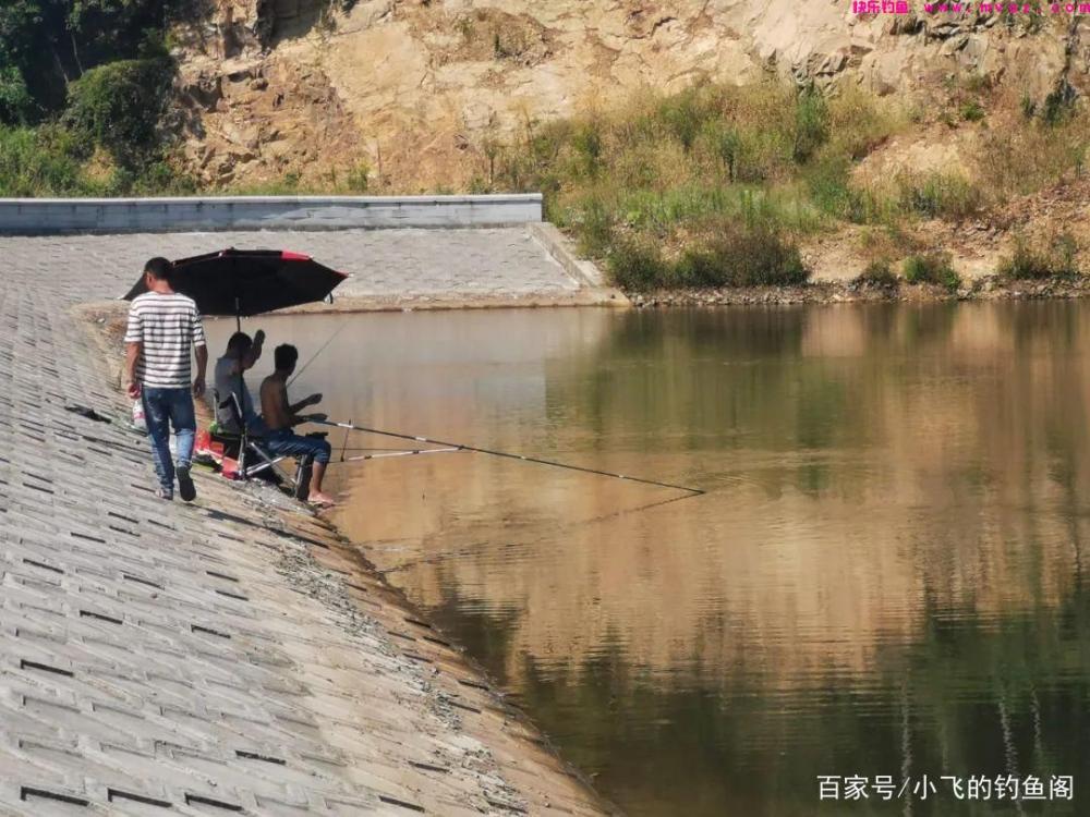 新手钓鲢鳙指南：认真做好这6点，就能让你
