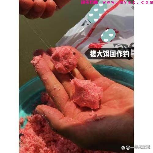 手竿钓鲢鳙子线和饵料的一些小窍门，手竿钓