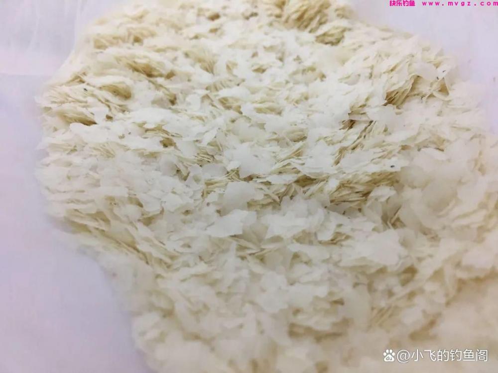 钓鲢鳙忘记带饵料怎么办？别急，教你巧用2