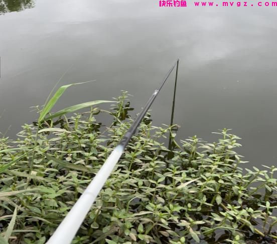 钓鲢鳙6个实用技巧，如何做到不再锚鱼？钩