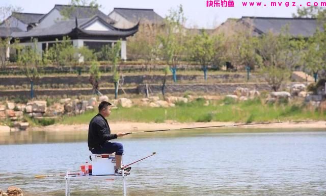 作钓鲢鳙什么风向最适合？