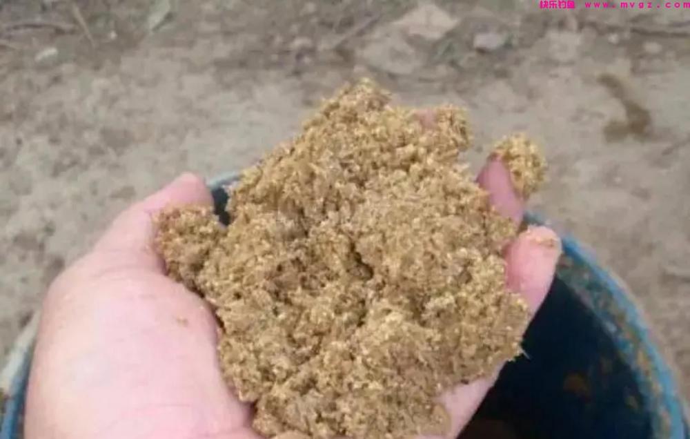 野钓鲢鳙如何打窝？区分情况区别对待，不能