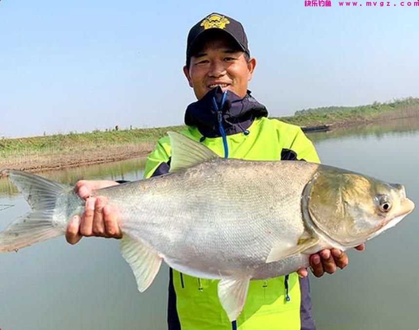 垂钓鲢鳙，除了要学习“邓氏钓法”，这几个