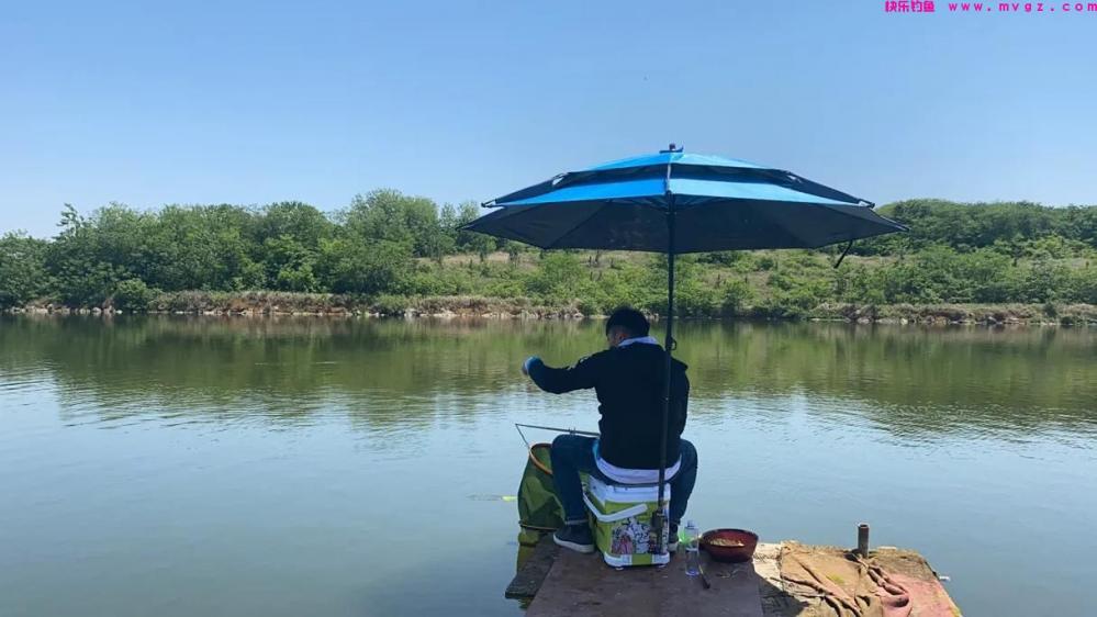 鲢鳙钓的好无非掌握了这几个要点，往往你错