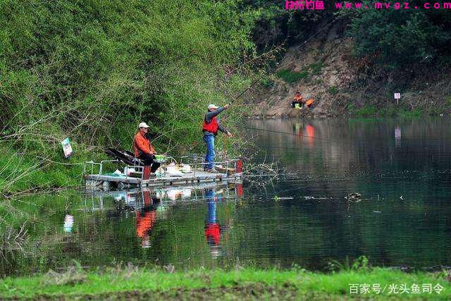 收费水库为何不能钓鲢鳙？老板说：别耽误我