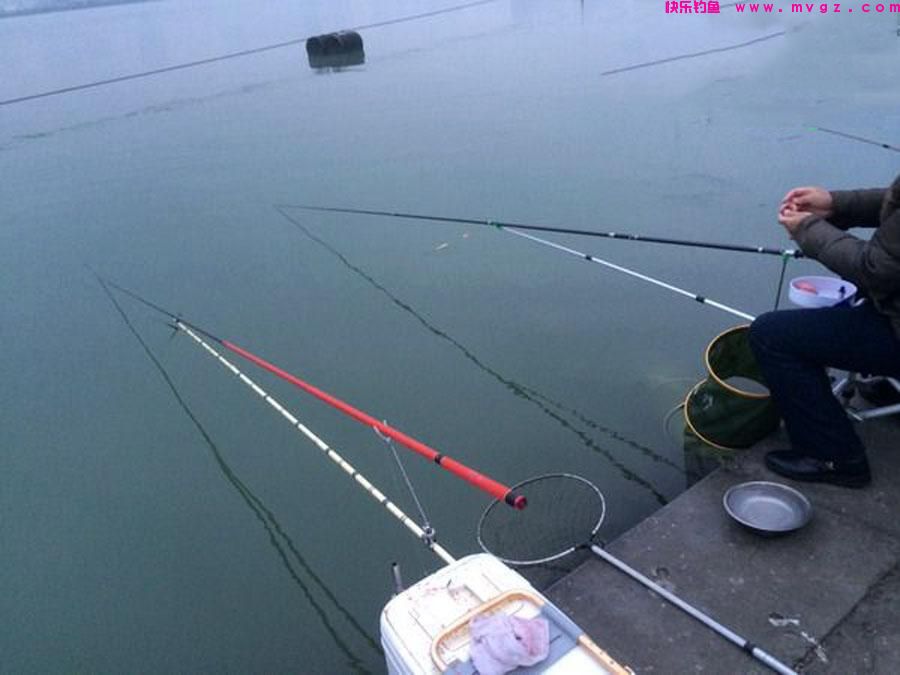 冬季鲢鳙难钓吗？实战经验让我打破了这个偏