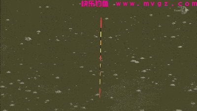 浮漂上下晃动却钓不到鱼，换细线小钩还不行