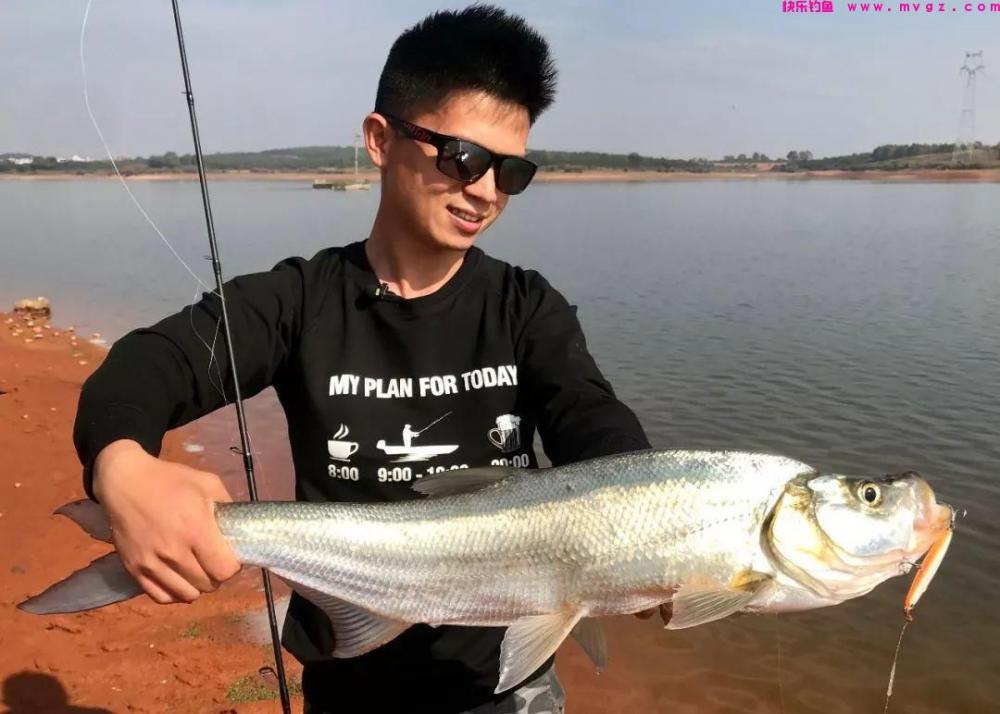 浮钓鲢鳙翘嘴的5个小技巧，野钓黑坑都有奇