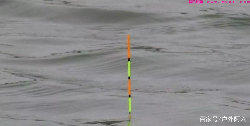 谈谈手竿浮钓鲢鳙时浮漂的选择，水库钓鱼户