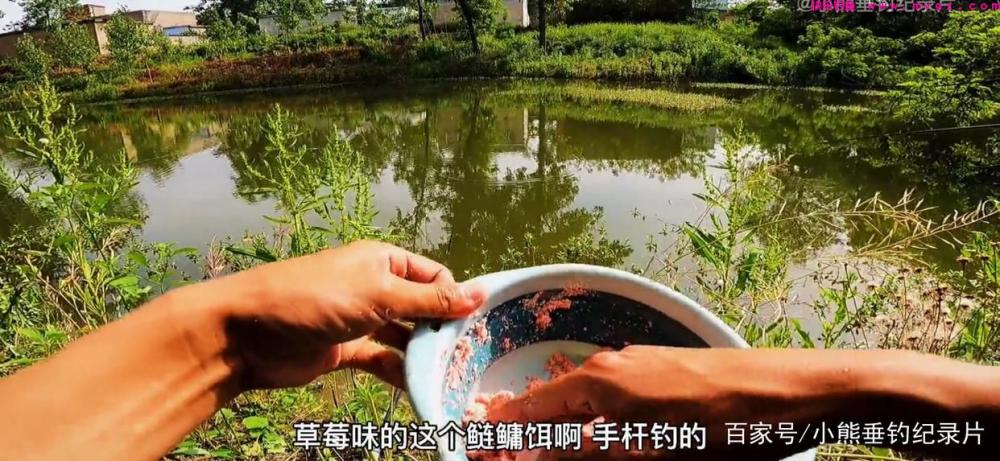 钓后感！鲢鳙应该怎么钓？仅仅野钓4次鲢鳙
