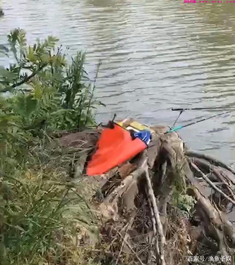 浮钓鲢鳙的这些技巧，把握住这些你也可以渔