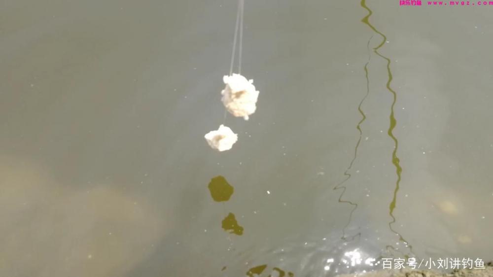夏季手竿钓鲢鳙，为何你的鲢鳙饵总是一抛就