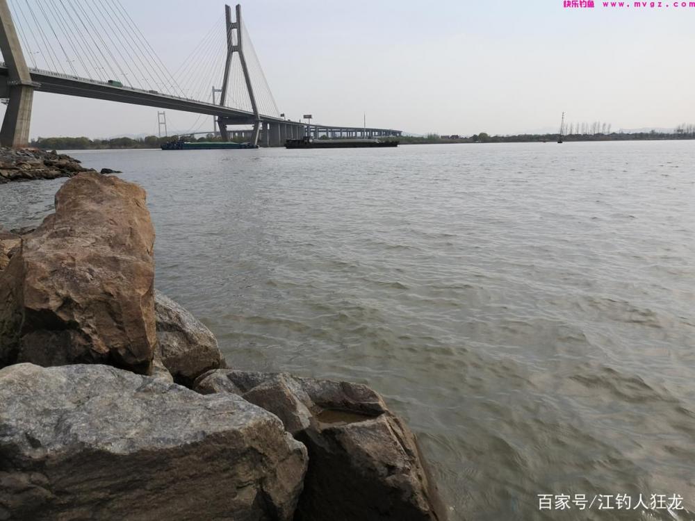 江里钓鲢鳙，掌握了这些门道，其实就是钓傻