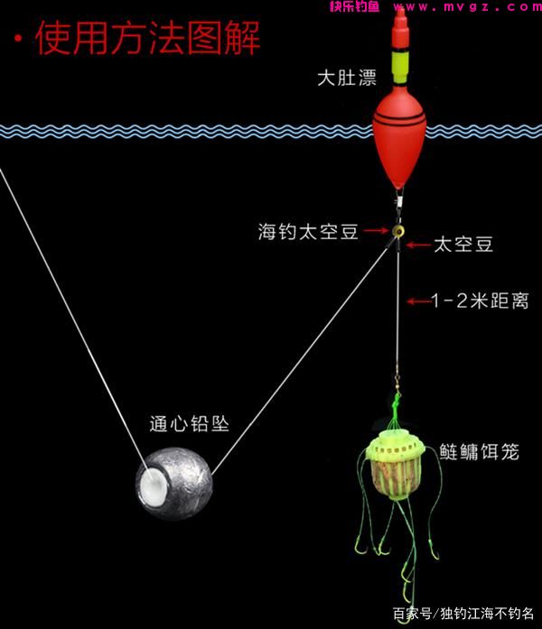 身经百战总结出来的鲢鳙钓法，想吃剁椒鱼头