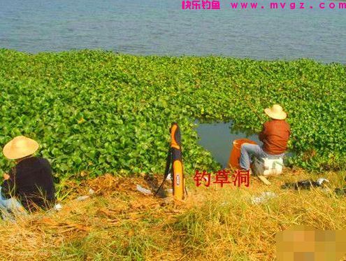 鲢鳙在早春其实很好钓，只要掌握几个关键点