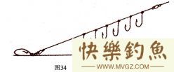 高手分享垂钓草鱼、青鱼的实用技巧[很详细