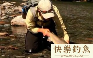 高手实战分析水库用海竿钓青鱼技巧