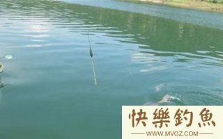 湖库钓青、草等鱼的饵料搭配及钓鱼技巧