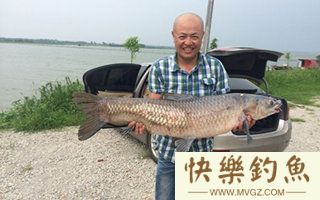 青鱼怎么钓之六种技巧来介绍