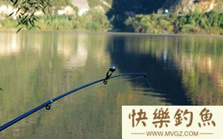 垂钓青鱼时的调漂及提竿要领