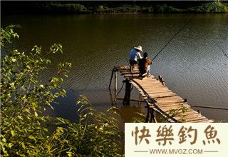 钓鲫鱼鲤鱼罗非鱼等的入门必知技巧