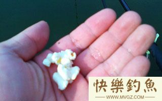 爆米花钓鳊鱼攻略-附图无钩调漂法