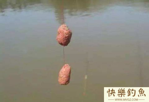 秋季海竿钓鲶鱼小技巧，你掌握了吗？