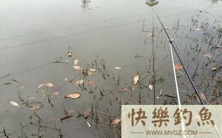 冬季沟渠小河野钓的四个技巧分享