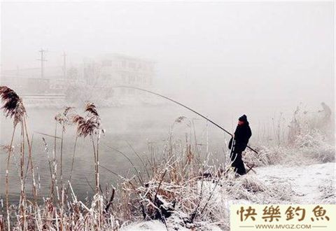 冬季不同天气，应该怎样钓鲫鱼？究竟有何影